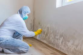 Best Residential Mold Inspection & Testing in Westchester, IL